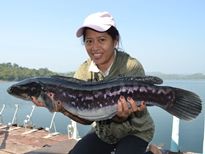 Click Here For Snakehead Package Info