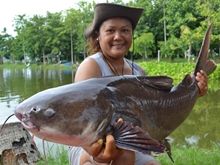 Salween Rita 18.6kg Salween Rita 18.6kg