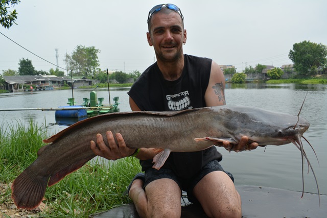 ...a wide variety of species that included a rare Salween rita catfish and ...