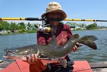 Salween Catfish 7.25kg Salween Catfish 7.25kg
