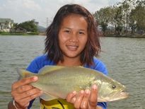 Thai Fish Species - Largemouth Bass
