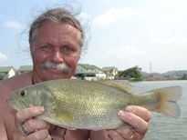 Thai Fish Species - Largemouth Bass