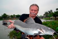 Thai Fish Species - Chinese Highfin Catfish