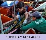 Gallery - Stingray Research Gallery - Stingray Research