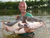 Thai Fish Species - Amazon Redtail