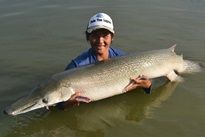 Fishing in Thailand - Alligator Gar