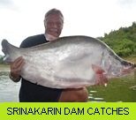 Srinakarin Dam Gallery - Catches