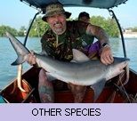 Gallery - Other Species Gallery - Other Species