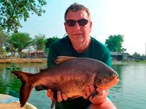 Thai Fish Species - Parapatinga
