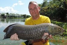Salween Catfish 8.5kg