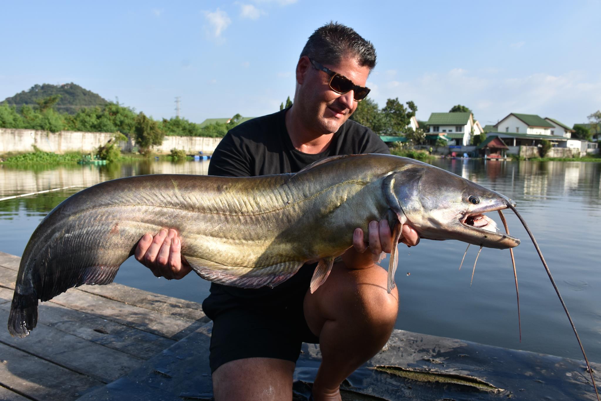 Wallago Attu Gallery PTL5