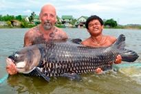 Thai Fish Species - Siamese Carp