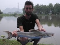 Thai Fish Species - Lau Lau