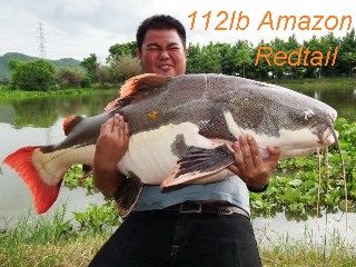 Guided Fishing Adventure Holidays in Thailand at Palm Tree Lagoon