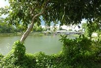 View of Palm Tree Lagoon Fishery
