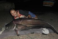 Thai Fish Species - Wallago Leeri