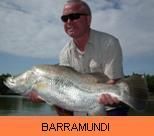 Thai Fish Species - Barramundi