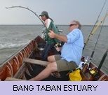 Gallery - Bang Tabon Estuary Gallery - Bang Tabon Estuary