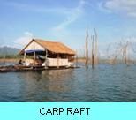 Khao Laem Dam Gallery - Carp Raft