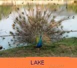 Photo Gallery - Lake