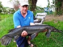 Thai Fish Species - Black Gar