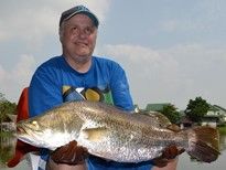 Thai Fish Species - Barramundi