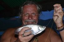 Thai Fish Species - Grey Featherback
