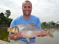 Thai Fish Species - Soldier River Barb