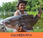 Thai Fish Species - Salween Rita