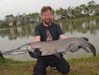 Thai Fish Species - Black Gar