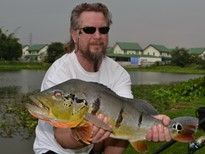 Thai Fish Species - Peacock Bass