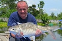 Thai Fish Species - Mrigal
