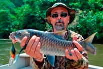 Thai Fish Species - Thai Mahseer
