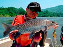 Thai Fish Species - Thai Mahseer