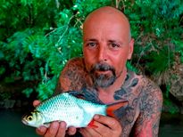 Thai Fish Species - Tinfoil Barb