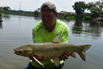 Thai Fish Species - Silver Carp