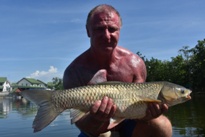 Thai Fish Species - Silver Carp