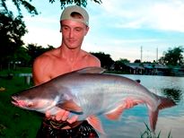 Thai Fish Species - Catfish Shark