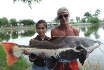 Thai Fish Species - Amazon Redtail