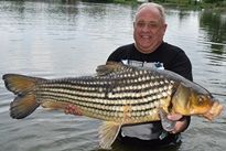 Juliens Golden Price Carp