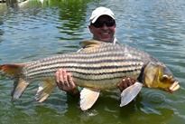 Juliens Golden Price Carp