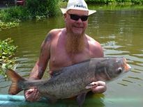 Thai Fish Species - Chinese Bighead Carp