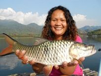 Jungle Perch Khao Laem Dam