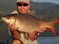 Rohu (Indian Carp)
