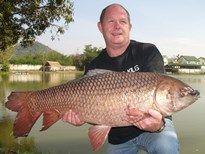 Thai Fish Species - Rohu
