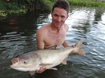 Thai Fish Species - Silver Carp