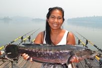 Giant Snakehead