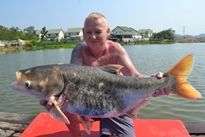 Thai Fish Species - Chinese Bighead Carp