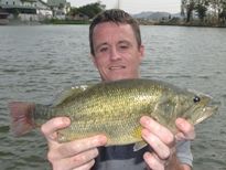 Thai Fish Species - Largemouth Bass