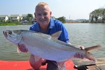 Thai Fish Species - Atlantic Tarpon
